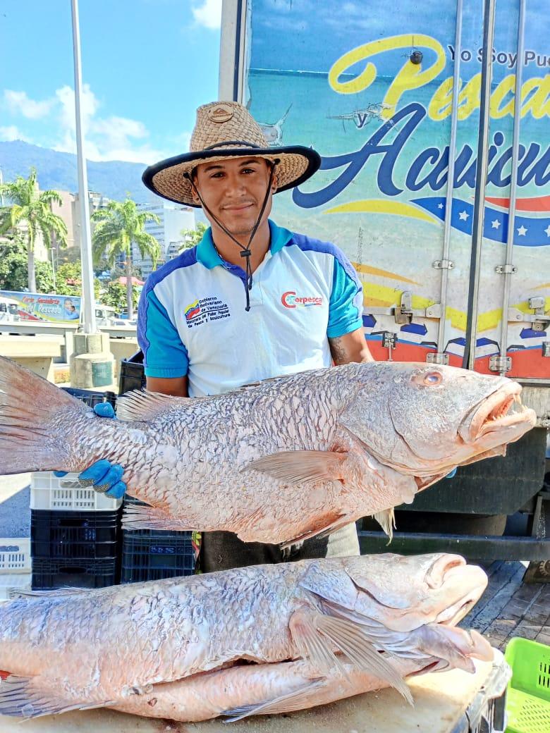 Imagen de alguien sosteniendo un pescado